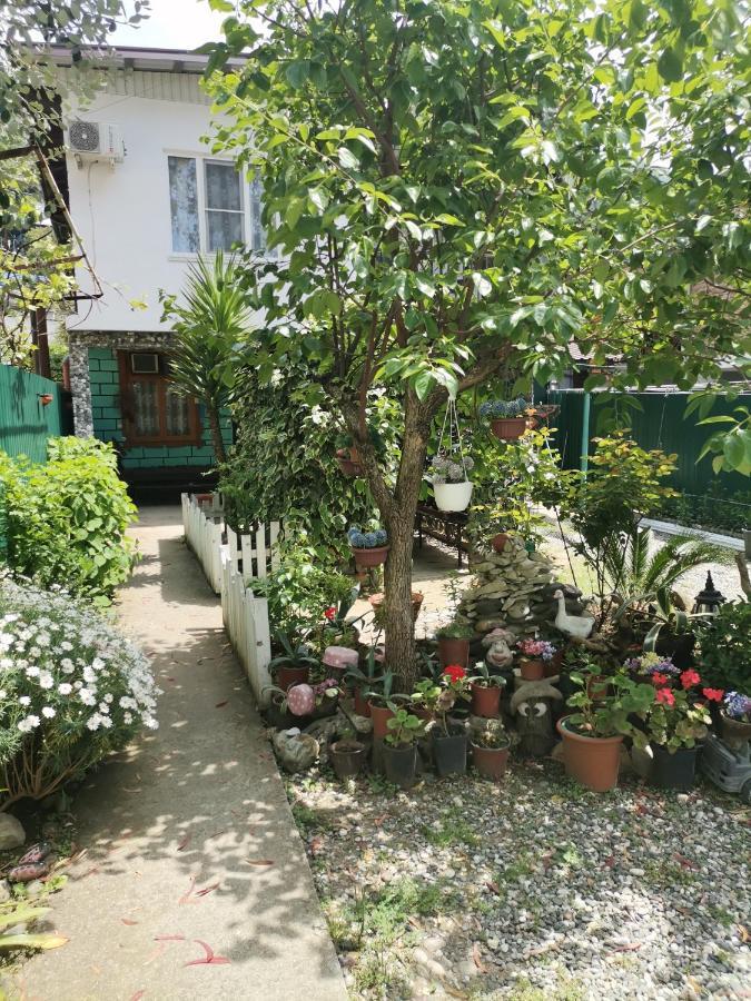 Гостевой Дом В Гаграх"Море Солнца" Gagra Exterior photo